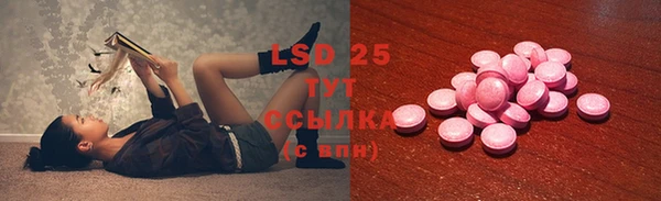 гашик Алексеевка