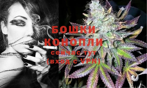 гашик Алексеевка