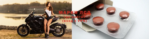 apvp Алексин