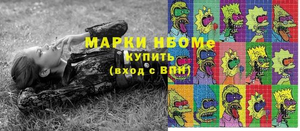 гашик Алексеевка