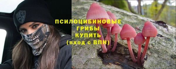 гашик Алексеевка