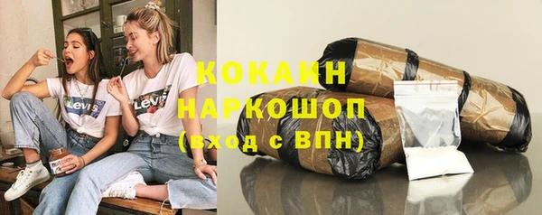 apvp Алексин
