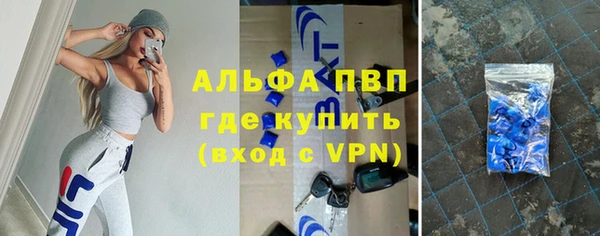 гашик Алексеевка