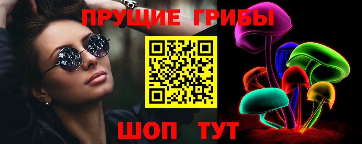 Псилоцибиновые грибы MAGIC MUSHROOMS  Вход с VPN  Добрянка 